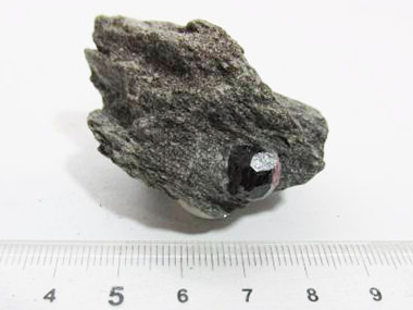 ガーネット結晶（鉄ばんザクロ石）付き雲母片岩