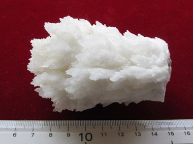白色霰石 珊瑚状結晶 クラスター